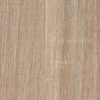 6562 SG-SG Rovere Bruges